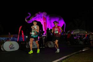 BIB: 
                            <button type="button" onclick="openModal(26544069)" class="btn btn-primary btn-sm float-right btn-popup" data-toggle="modal" data-target=".modal-high-quality">
                        <i class="fas fa-shopping-cart"></i> Add to Cart
                    </button>
                                            <button type="button" onclick="isThisMe(26544069, true)" class="btn btn-success btn-sm float-right btn-popup btn-isme hidden" data-toggle="tooltip" data-placement="bottom" title="นี่คือรูปของคุณใช่ไหม คลิกที่นี่เพื่อเอาเข้าอัลบั้ม">
                        <i class="fas fa-plus"></i> Add to album
                    </button>
                    <button type="button" onclick="isThisMe(26544069, false)" class="btn btn-warning btn-sm float-right btn-popup btn-isnotme hidden">
                        <i class="fas fa-ban"></i> Remove from album
                    </button>